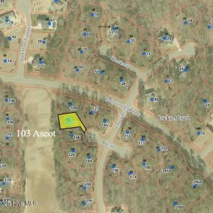 103 Ascot