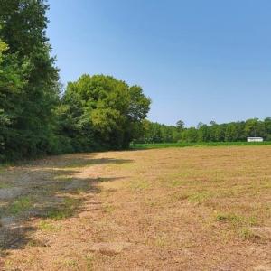 Photo #15 of Tbd Kehukee, Parkton, NC 15.7 acres