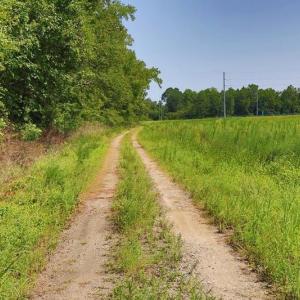 Photo #11 of Tbd Kehukee, Parkton, NC 15.7 acres
