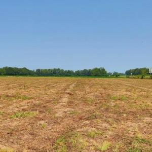 Photo #19 of Tbd Kehukee, Parkton, NC 15.7 acres