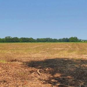 Photo #5 of Tbd Kehukee, Parkton, NC 15.7 acres