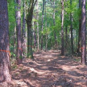 Photo #3 of Tbd Kehukee, Parkton, NC 15.7 acres