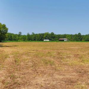 Photo #17 of Tbd Kehukee, Parkton, NC 15.7 acres