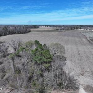 DJI_20250301125413_0450_D