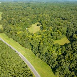 21-021-323WagonTrace-ChathamParcel-96802