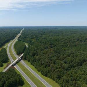 40-040-323WagonTrace-ChathamParcel-96802