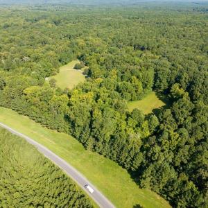 24-024-323WagonTrace-ChathamParcel-96802