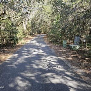 20250304_094946_resized