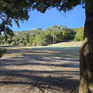 20250304_084900_resized