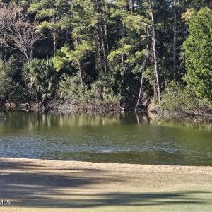 20250304_085001_resized