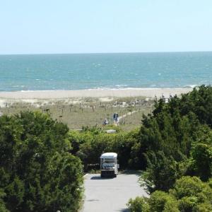 beach dune (2)