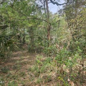 Resized_20250304_113050_1741105912866