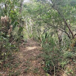 Resized_20250304_113030_1741105936440 (2