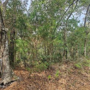 Resized_20250304_113130_1741105912210