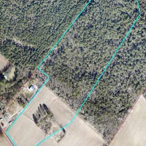 2655 Old Brick Road, Vanceboro, NC