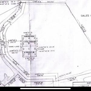 Survey Pic, Gleaton