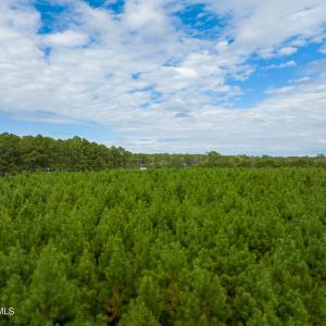 9 acre lot - Old Folkstone - Aerials - E