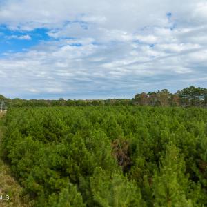 9 acre lot - Old Folkstone - Aerials - E