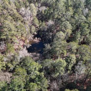 DJI_20250203122819_0254_D Large