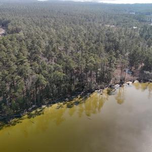 DJI_20250203122442_0249_D Large