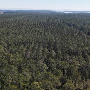 DJI_20250203122922_0256_D Large