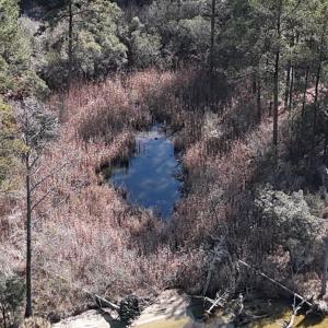 DJI_20250203122704_0252_D Large