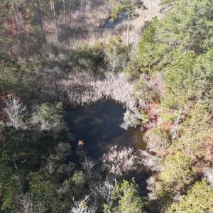 DJI_20250203121915_0229_D Large