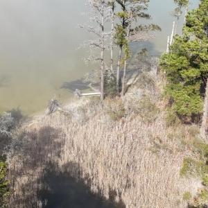 DJI_20250203122013_0233_D Large