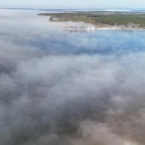 DJI_20250203122344_0247_D Large