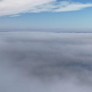 DJI_20250203122050_0235_D Large