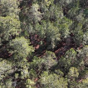 DJI_20250203122911_0255_D Large