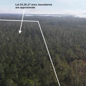 DJI_20250203120404_0199_D Large