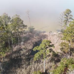 DJI_20250203121932_0230_D Large