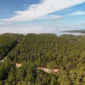 DJI_20250203121601_0220_D Large