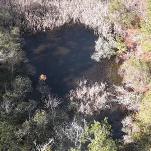 DJI_20250203121858_0226_D Large