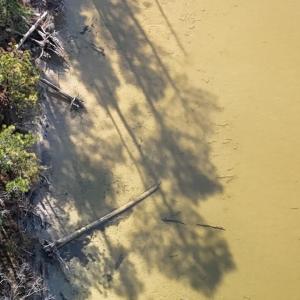 DJI_20250203122231_0242_D Large