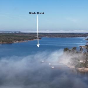 DJI_20250203122101_0236_D Large