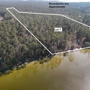 DJI_20250203122442_0249_D Large