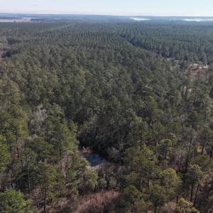 DJI_20250203122322_0245_D Large