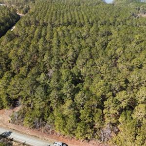 DJI_20250203121626_0221_D Large