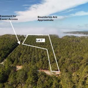 DJI_20250203121601_0220_D Large