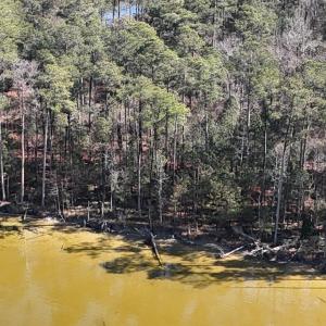 DJI_20250203122605_0251_D Large