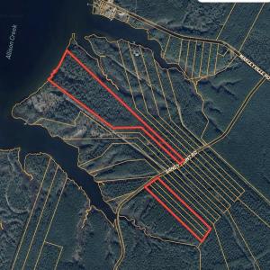 Aerial of all lots