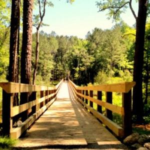 10 Neighborhood boardwalk