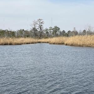 IMG_4176
