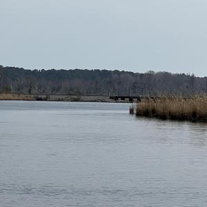 IMG_4177