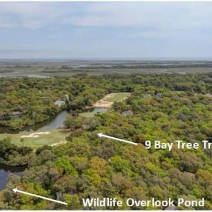9 Bay Tree Trail 2