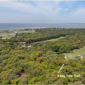 p Bay Tree Trail 1