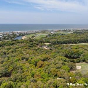 9 Bay Tree Trail 3