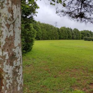 Land